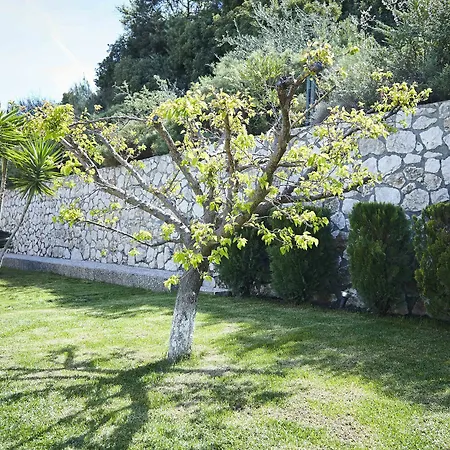 Unique La Vie Est Belle Villa Pastida